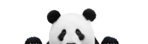 Kurkistava Panda